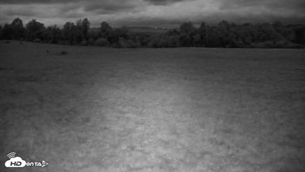 Tennessee Elk Live Webcam - Oct 16, 2026, 7:32pm EDT