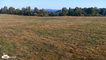Tennessee Elk Live Webcam - Oct 7, 2026, 9:52am EDT