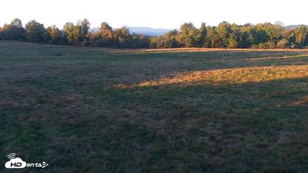 Tennessee Elk Live Webcam - Oct 13, 2026, 6:36pm EDT