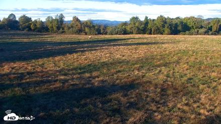 Tennessee Elk Live Webcam - Oct 17, 2026, 6:13pm EDT
