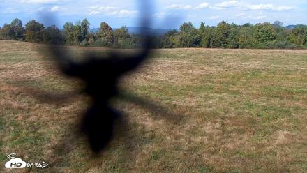 Tennessee Elk Live Webcam - Oct 14, 2026, 4:00pm EDT