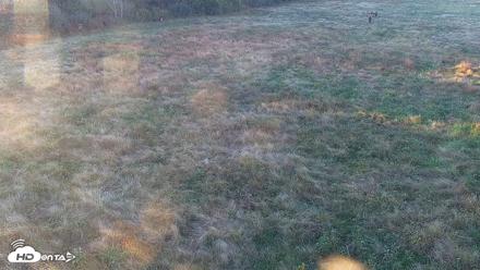 Tennessee Elk Live Webcam - Oct 17, 2026, 6:21pm EDT