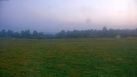 Tennessee Elk Live Webcam - Sep 22, 2025, 7:24am EDT