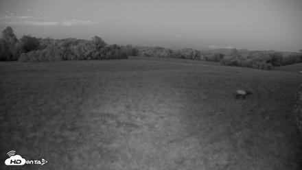 Tennessee Elk Live Webcam - Oct 12, 2026, 7:42pm EDT