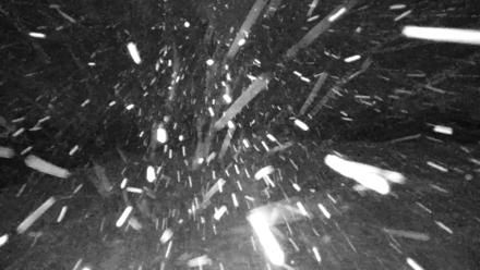 Tennessee Elk Live Webcam - Jan 30, 2026, 8:12pm EST