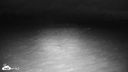 Tennessee Elk Live Webcam - Oct 16, 2026, 7:46pm EDT
