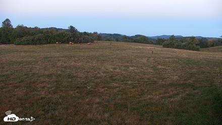 Tennessee Elk Live Webcam - Oct 8, 2026, 7:20pm EDT