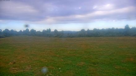 Tennessee Elk Live Webcam - Oct 5, 2025, 5:39pm EDT