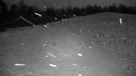 Tennessee Elk Live Webcam - Feb 23, 2026, 7:00pm EST