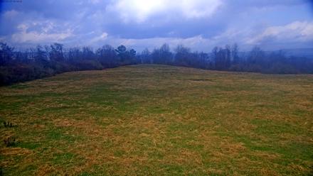 Tennessee Elk Live Webcam - Nov 19, 2025, 12:06pm EST