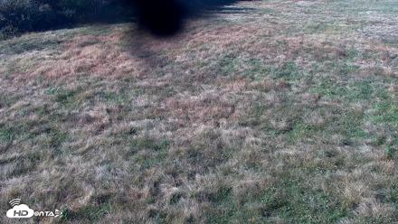 Tennessee Elk Live Webcam - Oct 14, 2026, 3:58pm EDT