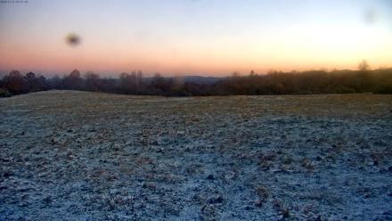 Tennessee Elk Live Webcam - Nov 11, 2025, 7:07am EST