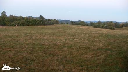 Tennessee Elk Live Webcam - Oct 12, 2026, 7:17pm EDT