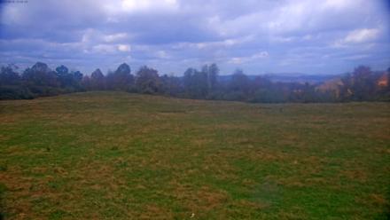 Tennessee Elk Live Webcam - Oct 31, 2025, 1:17pm EDT