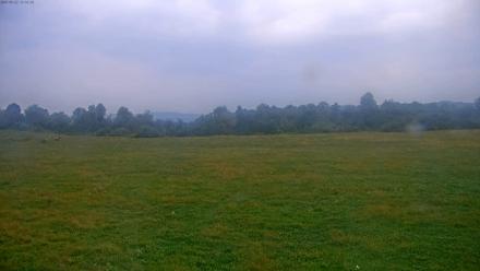 Tennessee Elk Live Webcam - Sep 22, 2025, 7:07pm EDT