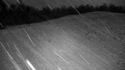 Tennessee Elk Live Webcam - Feb 23, 2026, 7:00pm EST