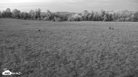 Tennessee Elk Live Webcam - Oct 26, 2026, 7:02pm EDT