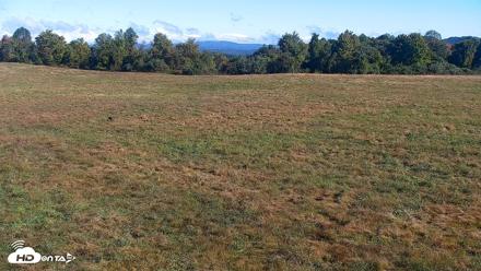 Tennessee Elk Live Webcam - Oct 5, 2026, 10:24am EDT