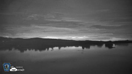 Pennsylvania Snow Geese Live Webcam - Aug 5, 2026, 5:03am EDT