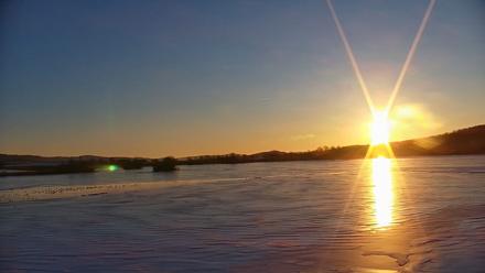 Pennsylvania Snow Geese Live Webcam - Feb 9, 2026, 7:26am EST