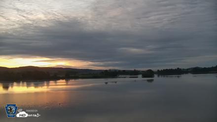 Pennsylvania Snow Geese Live Webcam - May 22, 2026, 5:40am EDT