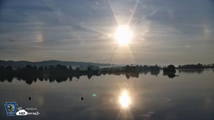 Pennsylvania Snow Geese Live Webcam - Aug 1, 2026, 6:56am EDT