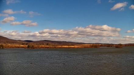 Pennsylvania Snow Geese Live Webcam - Nov 28, 2025, 12:16pm EST