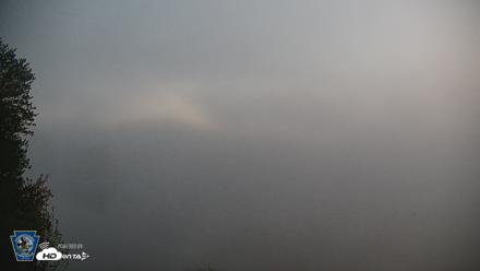 Pennsylvania Snow Geese Live Webcam - Apr 27, 2026, 5:48am EDT