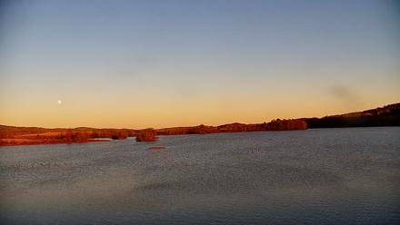Pennsylvania Snow Geese Live Webcam - Nov 4, 2025, 4:41pm EST