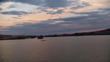 Pennsylvania Snow Geese Live Webcam - Nov 5, 2025, 4:56pm EST