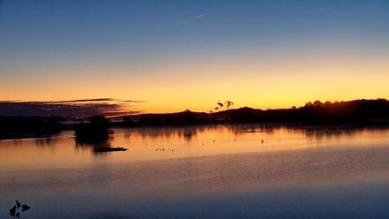 Pennsylvania Snow Geese Live Webcam - Oct 26, 2025, 7:01am EDT