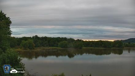 Pennsylvania Snow Geese Live Webcam - Sep 5, 2026, 6:54am EDT