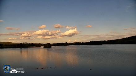 Pennsylvania Snow Geese Live Webcam - Aug 25, 2026, 6:17pm EDT