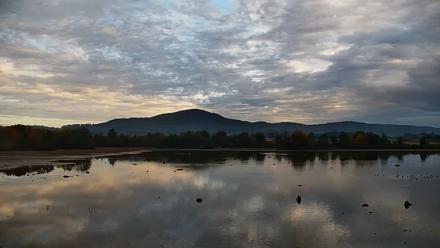 Pennsylvania Snow Geese Live Webcam - Oct 11, 2025, 7:54am EDT