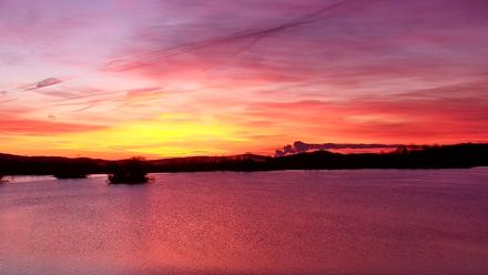 Pennsylvania Snow Geese Live Webcam - Mar 18, 2026, 6:58am EDT