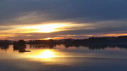 Pennsylvania Snow Geese Live Webcam - Sep 27, 2025, 7:08am EDT