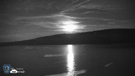 Pennsylvania Snow Geese Live Webcam - May 6, 2026, 1:06am EDT