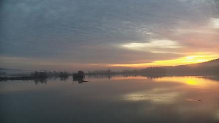 Pennsylvania Snow Geese Live Webcam - Nov 20, 2025, 6:55am EST