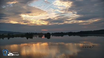 Pennsylvania Snow Geese Live Webcam - Aug 31, 2026, 6:45am EDT