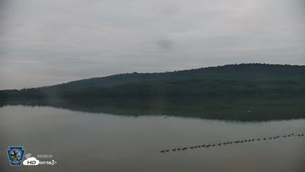 Pennsylvania Snow Geese Live Webcam - Sep 30, 2026, 7:07am EDT