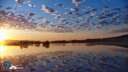 Pennsylvania Snow Geese Live Webcam - May 16, 2026, 6:01am EDT