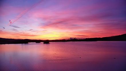 Pennsylvania Snow Geese Live Webcam - Mar 18, 2026, 7:01am EDT