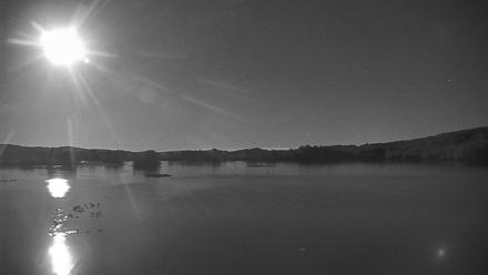 Pennsylvania Snow Geese Live Webcam - Oct 8, 2025, 8:32pm EDT