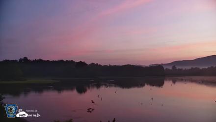 Pennsylvania Snow Geese Live Webcam - Aug 1, 2026, 5:50am EDT