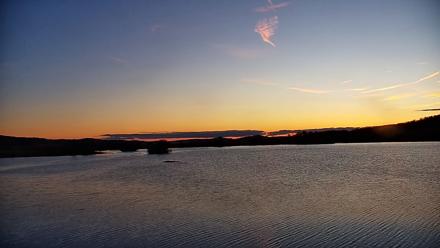 Pennsylvania Snow Geese Live Webcam - Nov 14, 2025, 6:43am EST