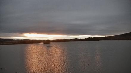 Pennsylvania Snow Geese Live Webcam - Oct 20, 2025, 7:00am EDT