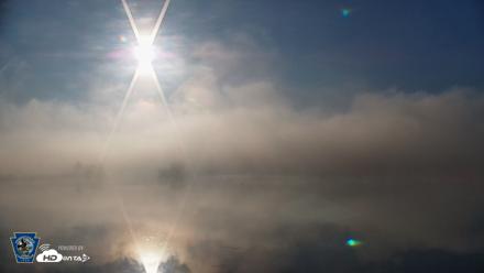 Pennsylvania Snow Geese Live Webcam - Apr 27, 2026, 7:26am EDT