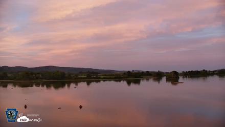 Pennsylvania Snow Geese Live Webcam - Aug 21, 2026, 7:56pm EDT