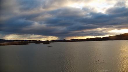 Pennsylvania Snow Geese Live Webcam - Nov 17, 2025, 7:43am EST