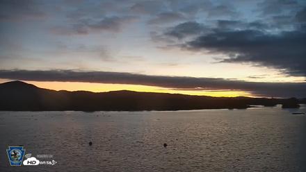 Pennsylvania Snow Geese Live Webcam - Sep 24, 2026, 6:28am EDT